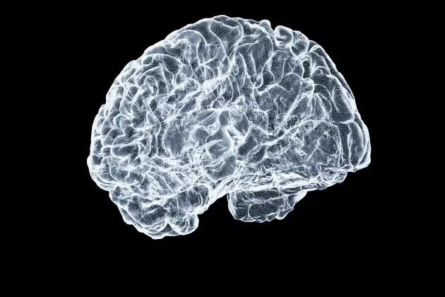 Brain in fron of black background